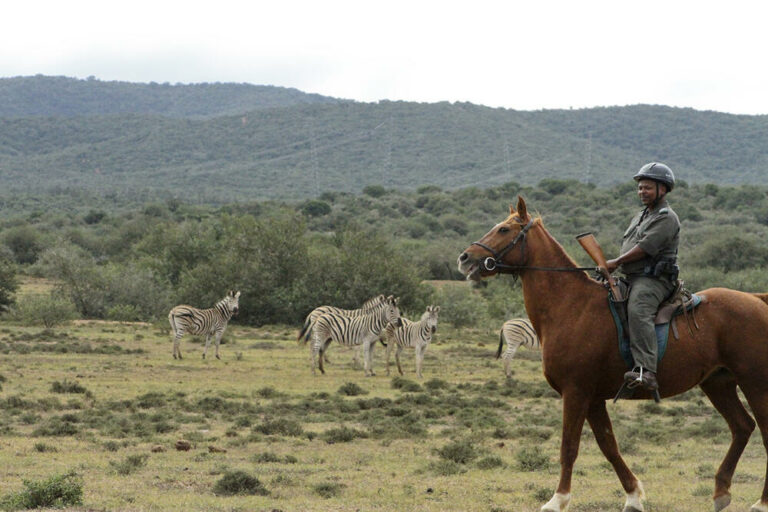 1134 Leisure Addo National Park 281929 768x512
