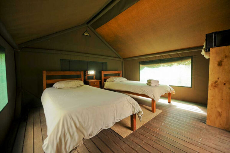 1134 Spekboom Tents Speekboom Tent 1 copy 768x511