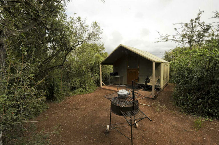 1134 Spekboom Tents Speekboom Tent 4 768x511