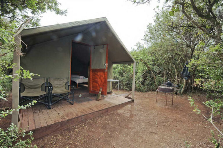 1134 Spekboom Tents Speekboom Tent 5 768x511