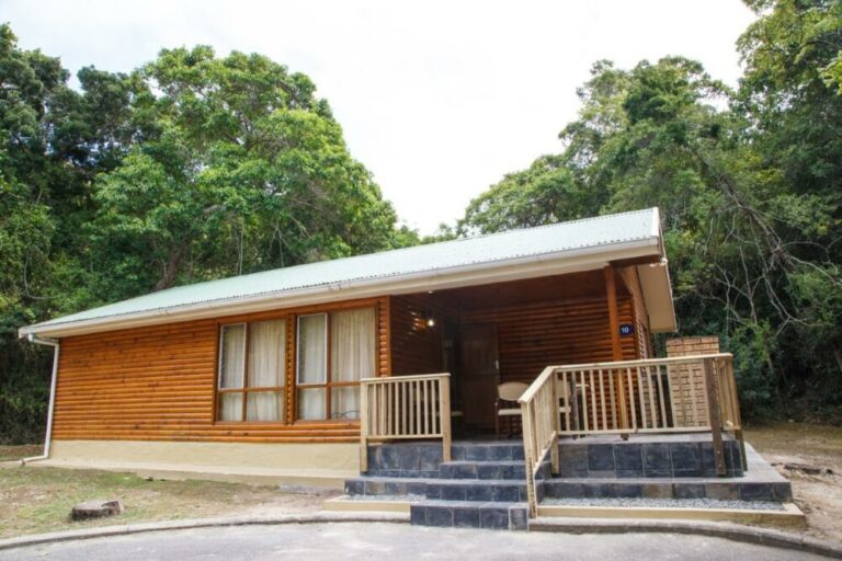 1196 Self Catering IMG 1265 768x512