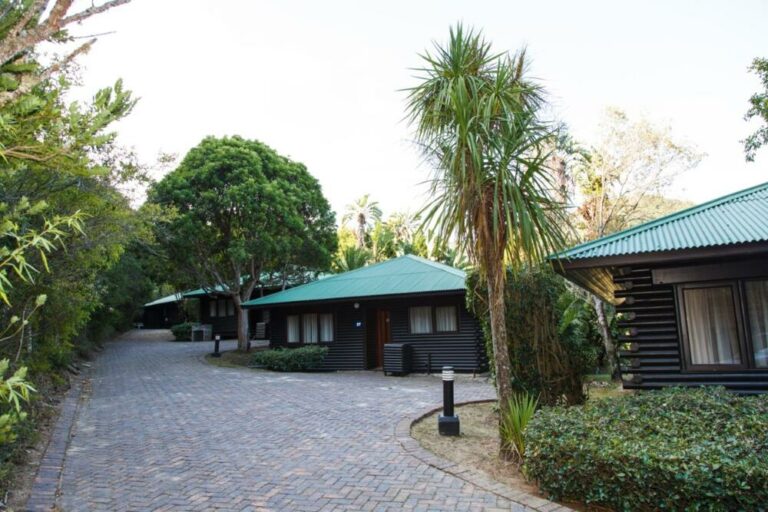 1196 Self Catering IMG 1576 768x512