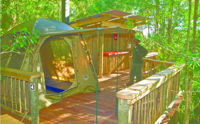 1245 mainImage Diepwalle Forest Timber Camping Decks For advert 768x477