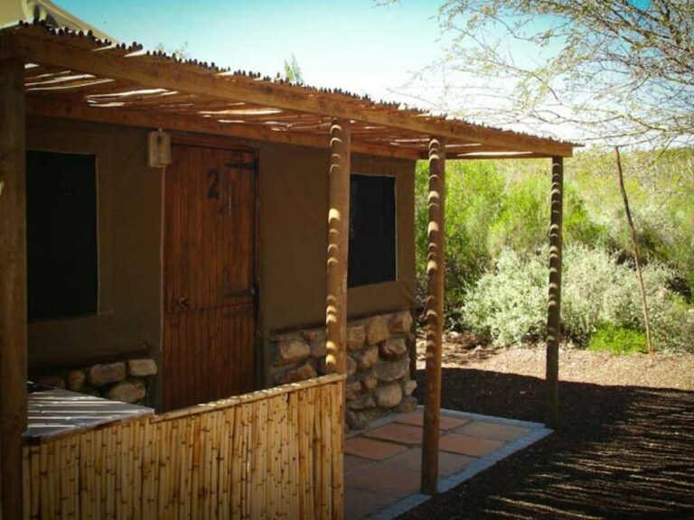 962 Chalets 6 sleeper tent houses 5 768x576