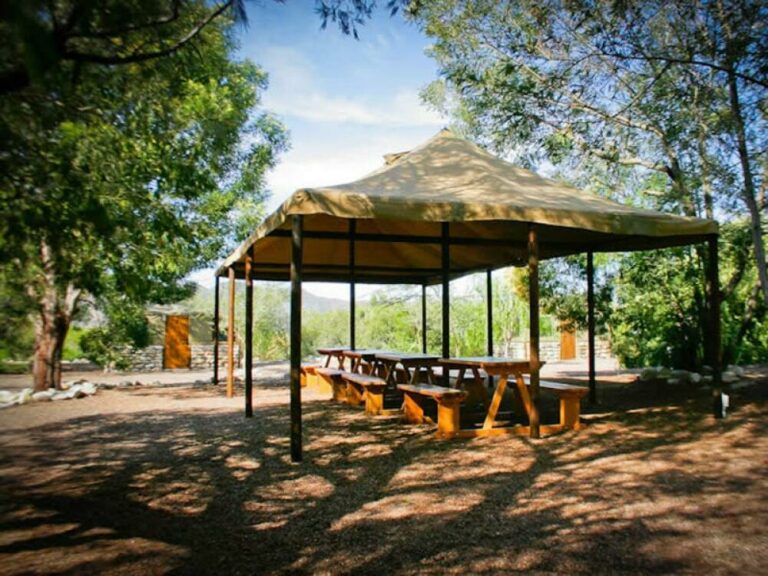 962 Chalets bush lapa 4 768x576