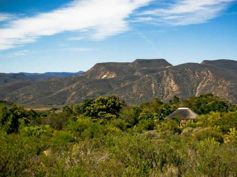 962 Nature facilities 1 768x576