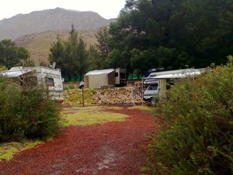 962 Sites camping 7 768x576