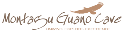 962 logo transparent background 400x110